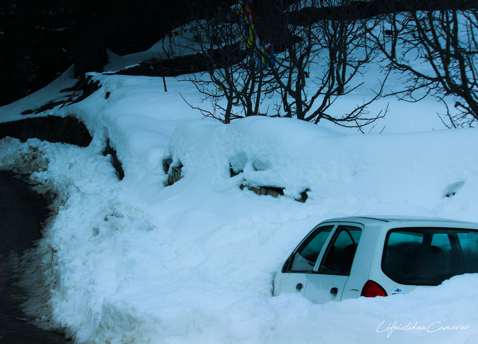 Photo of Lesser known Sethan near Manali by Soma Ghosh