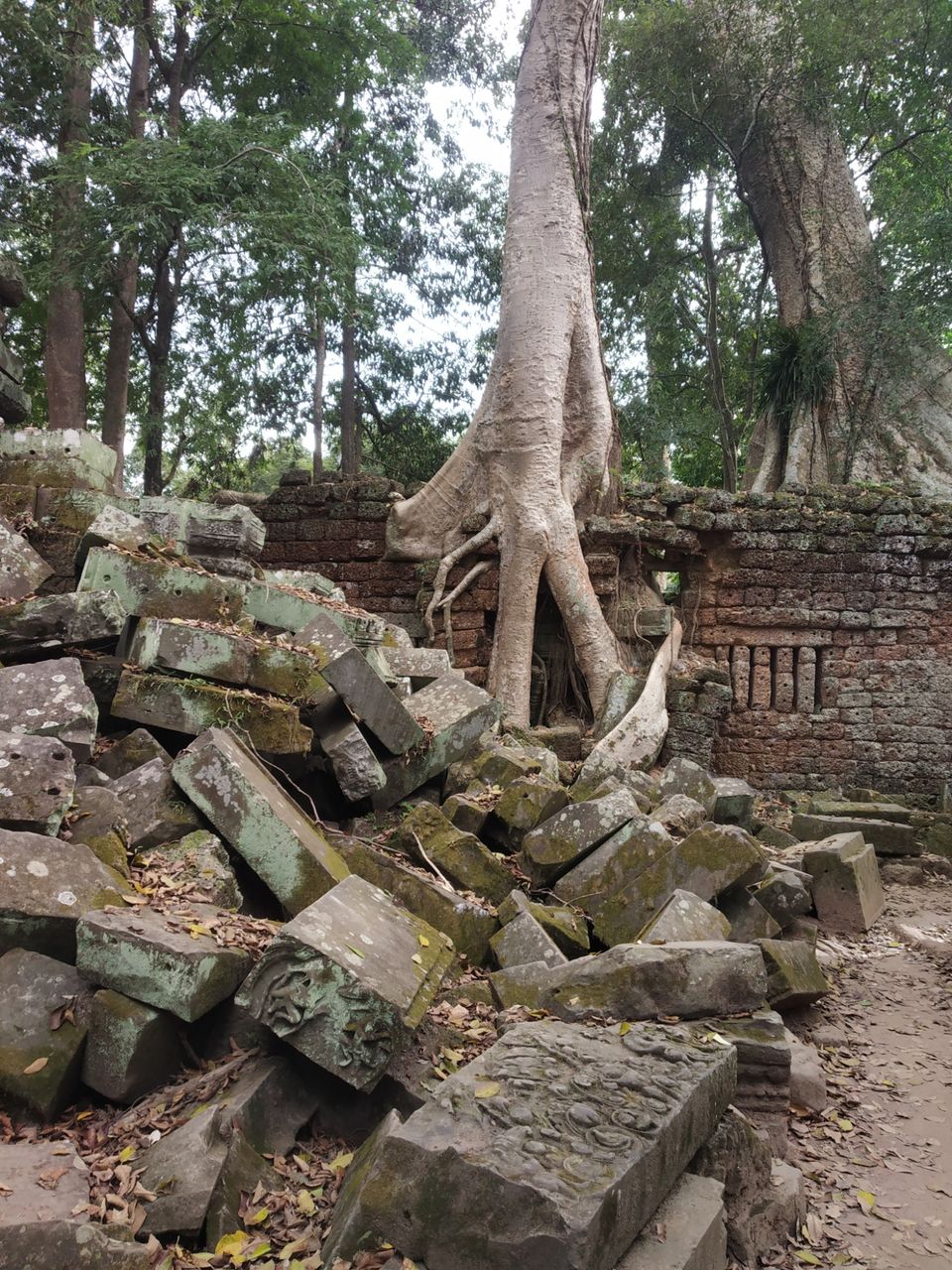 Photo of Siem Reap, Cambodia by Juhi Dutta