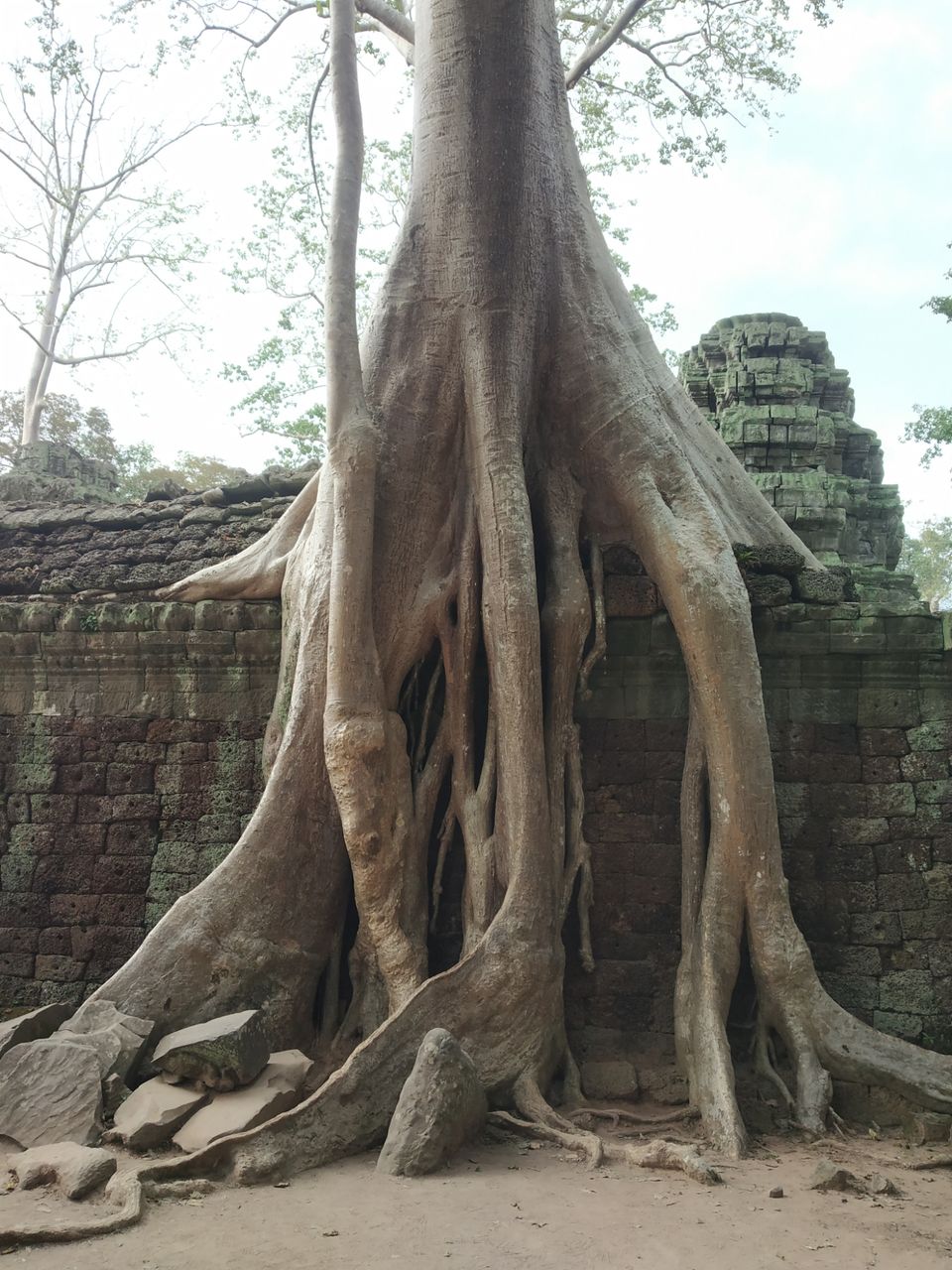 Photo of Siem Reap, Cambodia by Juhi Dutta