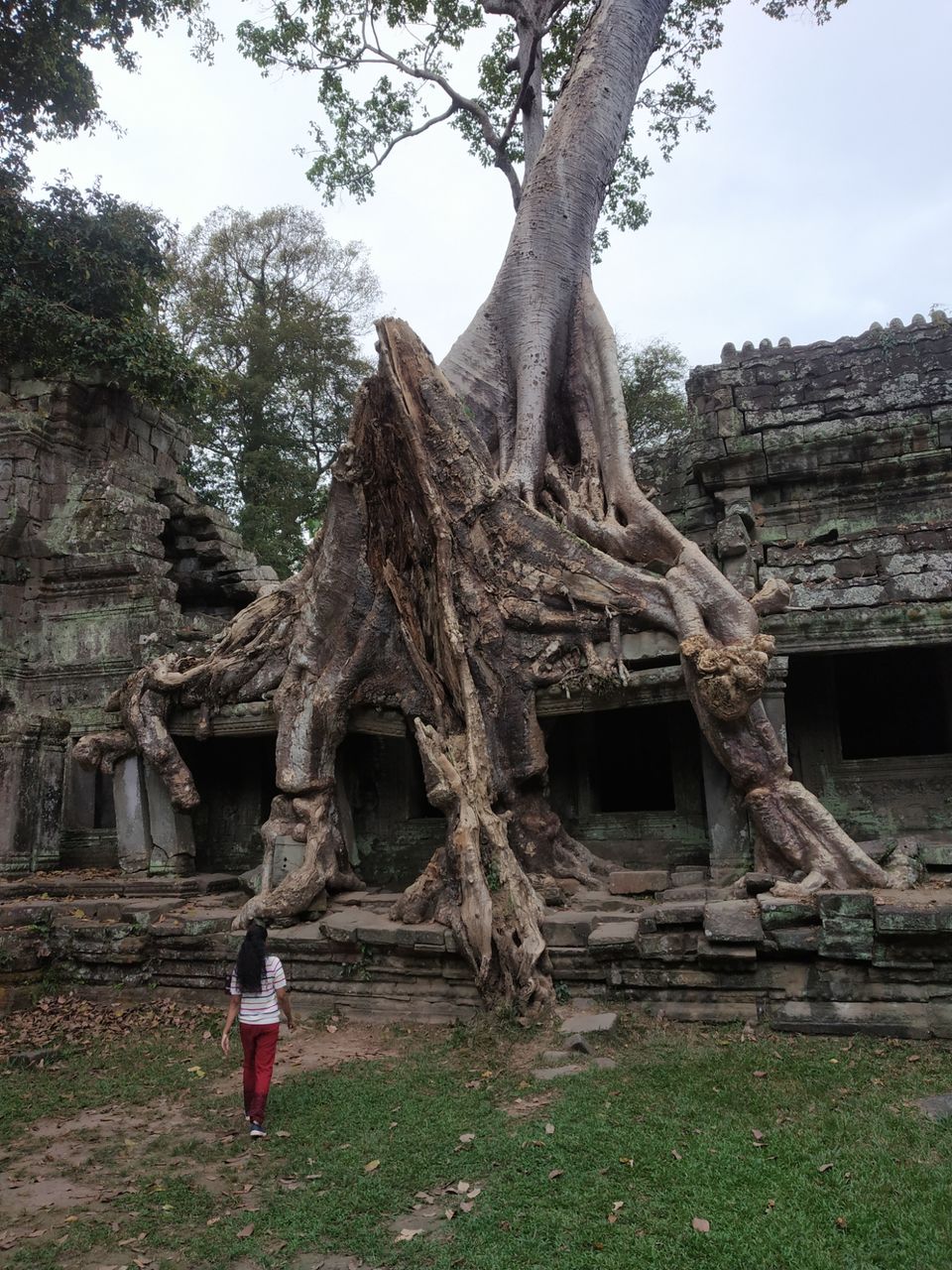Photo of Siem Reap, Cambodia by Juhi Dutta