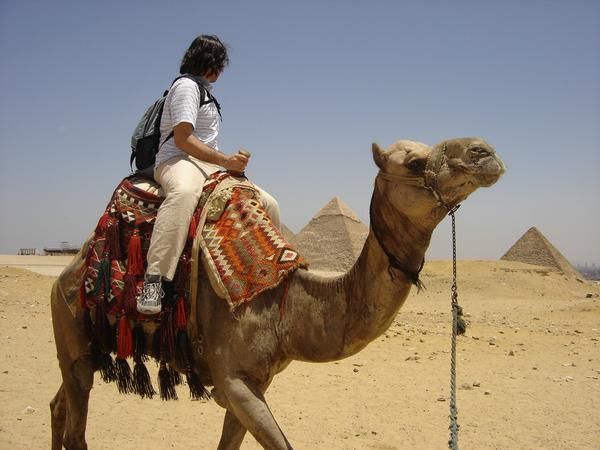 Photo of Transito en Egipto en Semana Santa 1/1 by maestroviajes