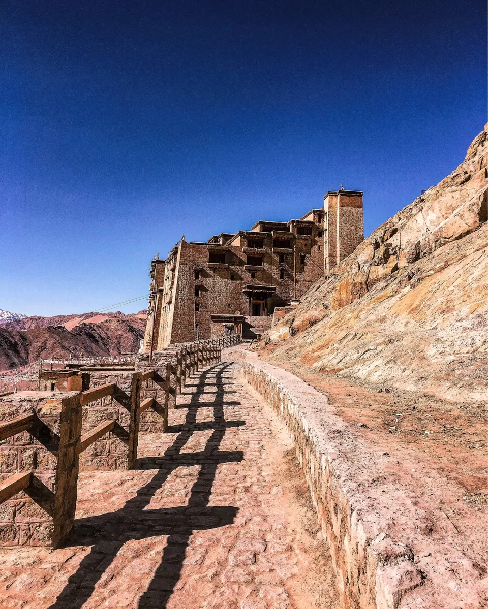 Photo of Leh Palace, Leh by Shubhrojyoti Laha