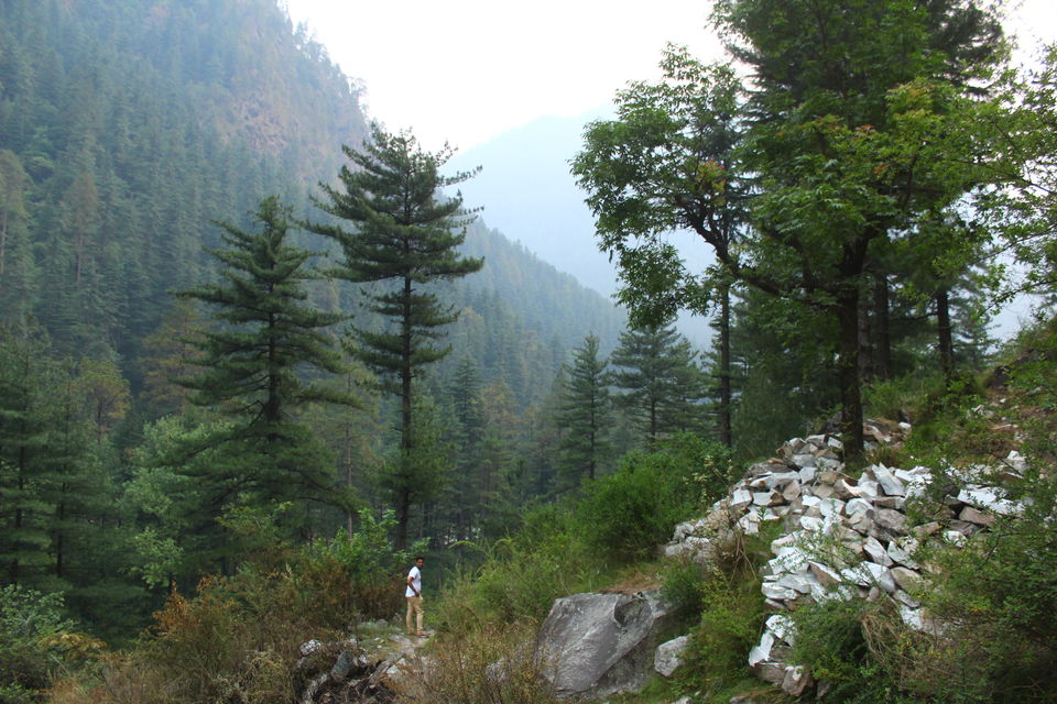Photo of Choj,Shiva, Sosan, Himachal Pradesh, India by Shubhrojyoti Laha