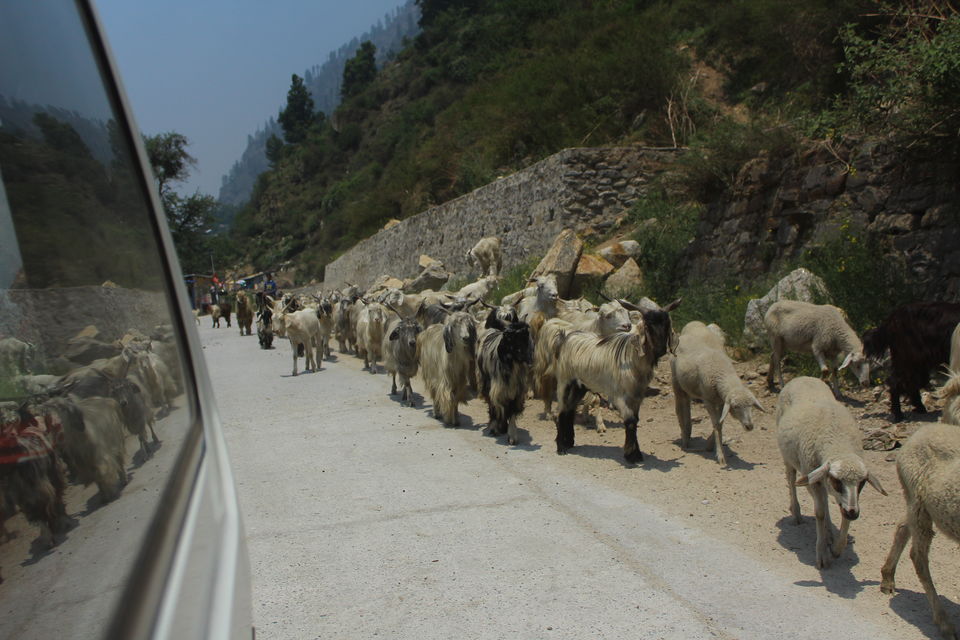 Photo of Barsheni Village Bus Stop, मणिकर्ण - बर्शेणी सड़क, Himachal Pradesh, India by Shubhrojyoti Laha