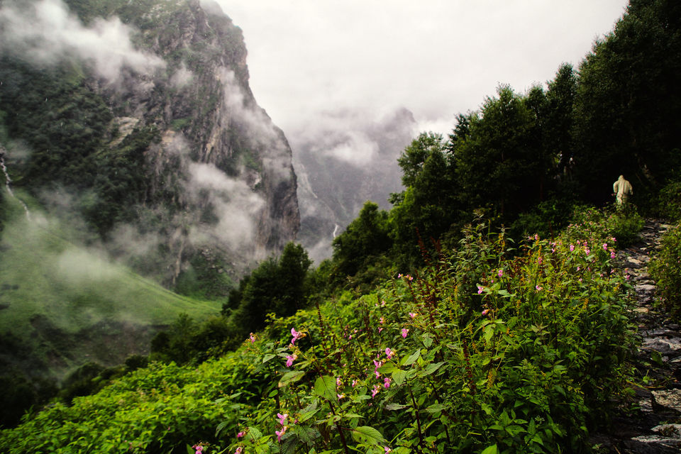 Photo of Valley of Flowers National Park, Uttarakhand, India by Shubhrojyoti Laha