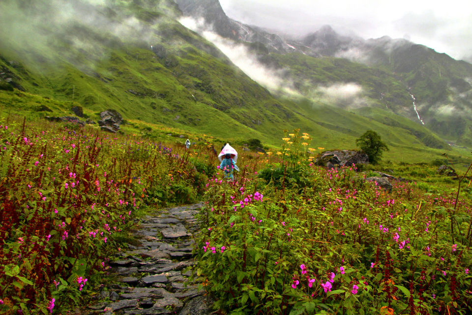 Photo of Trek to valley of flowers and Hemkund Sahib by Shubhrojyoti Laha