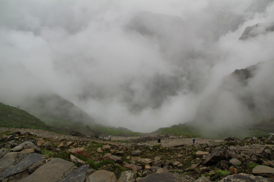 Photo of Trek to valley of flowers and Hemkund Sahib by Shubhrojyoti Laha