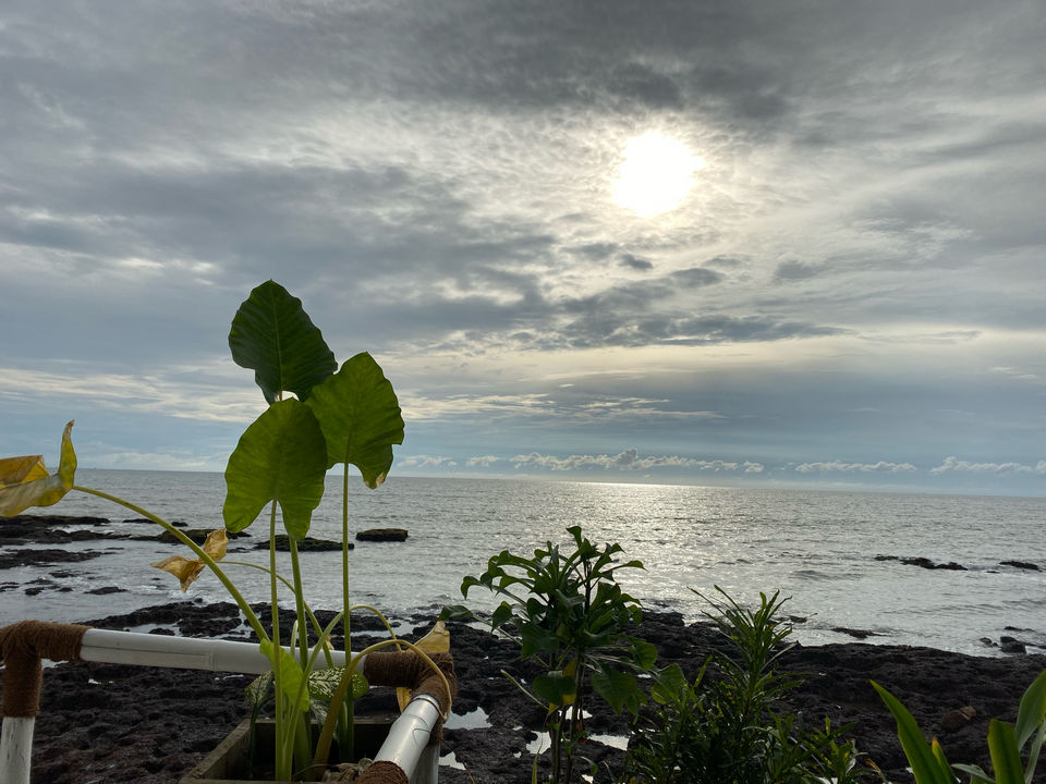 Photo of Eva Cafe, Dmello Vaddo, Anjuna, Goa, India by Divya Nayak
