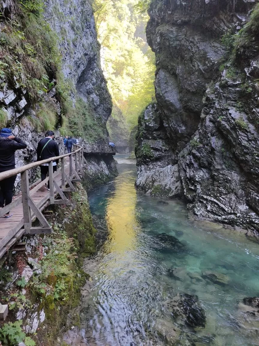 Photo of Vintgar, Bled, Slovenia by Kanupriya Aggarwal