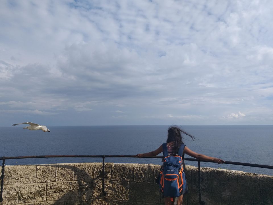 Photo of Flapping my wings down the #MemoryLane by Kanupriya Aggarwal