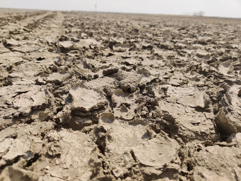 Photo of Little Rann of Kutch, Gujarat by Kanupriya Aggarwal