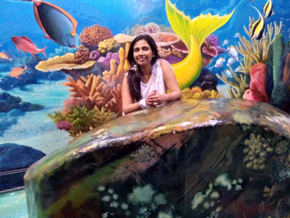 Photo of 3D Art in Paradise Langkawi, Jalan Telaga Tujuh, Langkawi, Kedah, Malaysia by Surupa D Adhikari