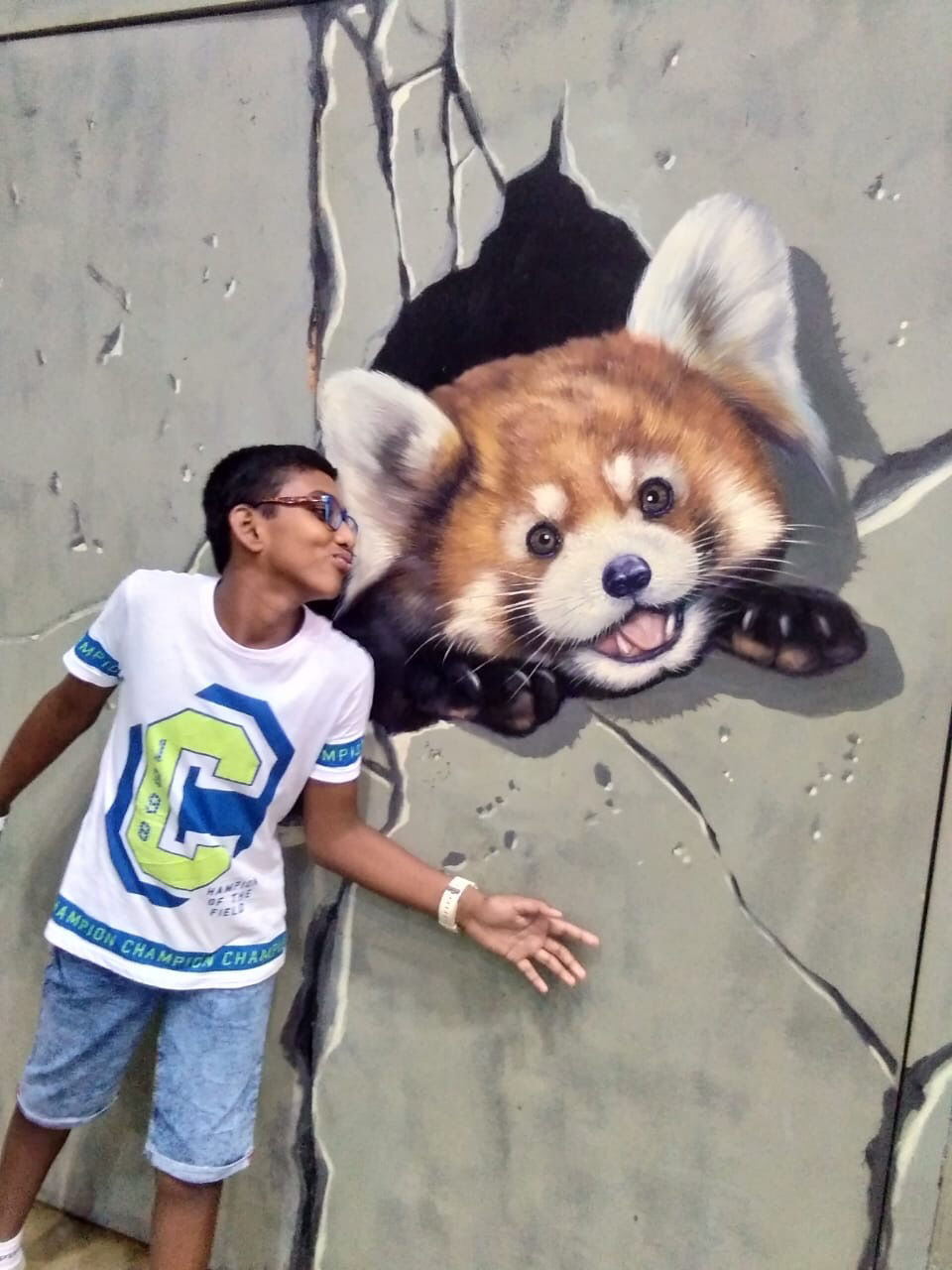Photo of 3D Art in Paradise Langkawi, Jalan Telaga Tujuh, Langkawi, Kedah, Malaysia by Surupa D Adhikari