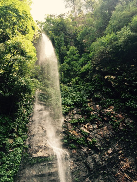 Photo of Magic in Himalayas 2/14 by Janvi