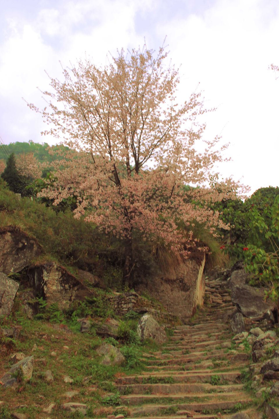 Photo of Navigating Nepal 13/15 by Pratiksha bhat