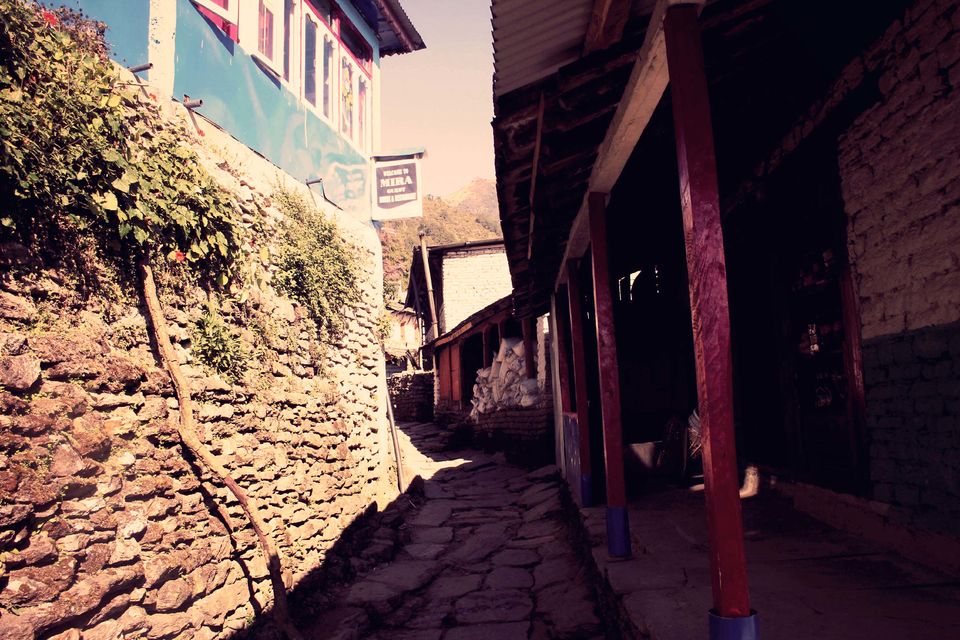 Photo of Navigating Nepal 15/15 by Pratiksha bhat