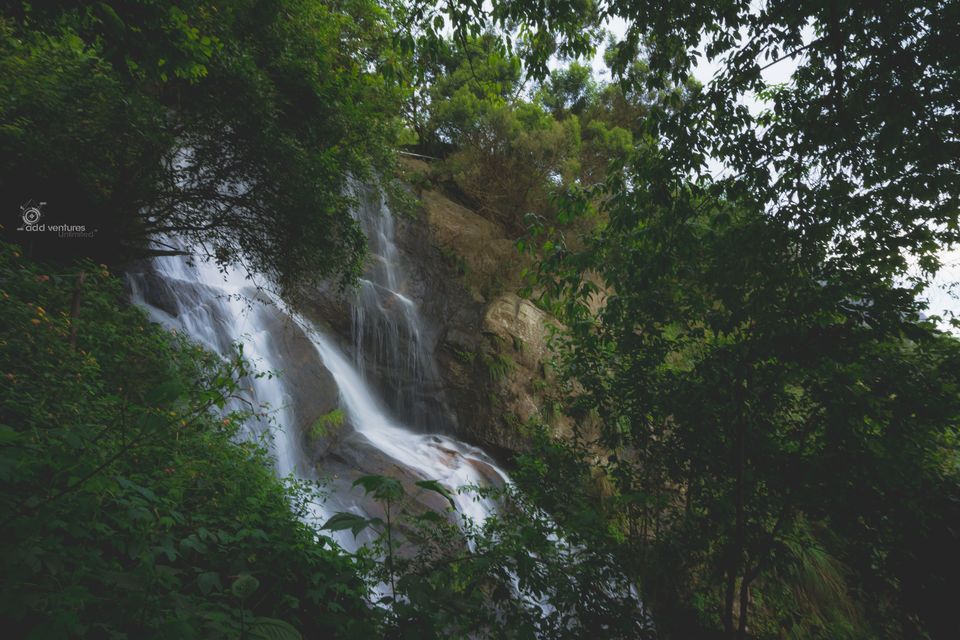 Photo of Mystery in the air – Kodai! 2/7 by Pratiksha bhat
