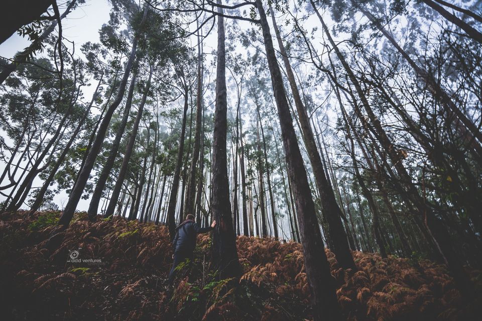 Photo of Mystery in the air – Kodai! 3/7 by Pratiksha bhat