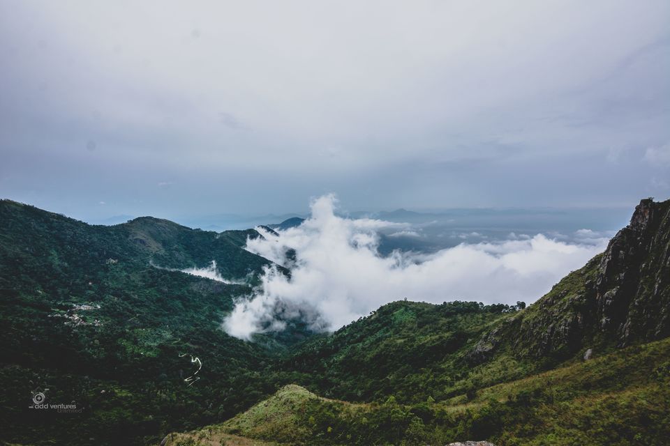 Photo of Mystery in the air – Kodai! 7/7 by Pratiksha bhat