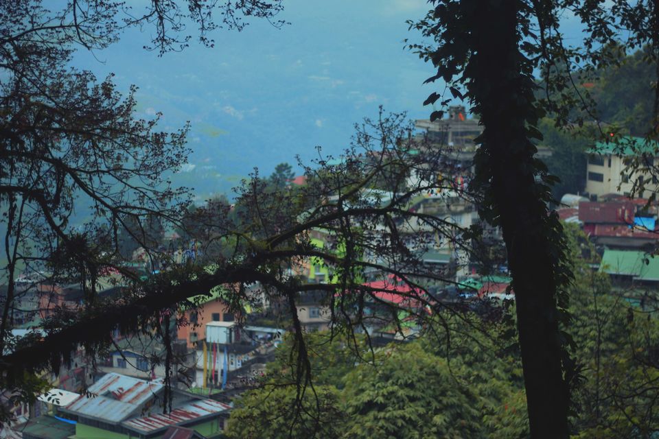 Photo of Sikkim Sojourn 2/16 by Pratiksha bhat