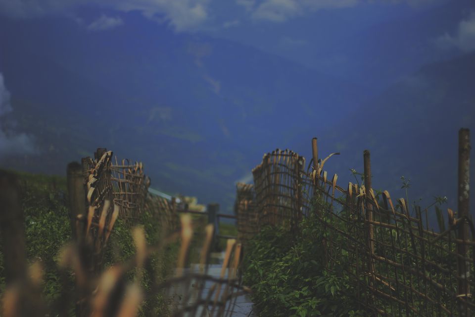 Photo of Sikkim Sojourn 7/16 by Pratiksha bhat