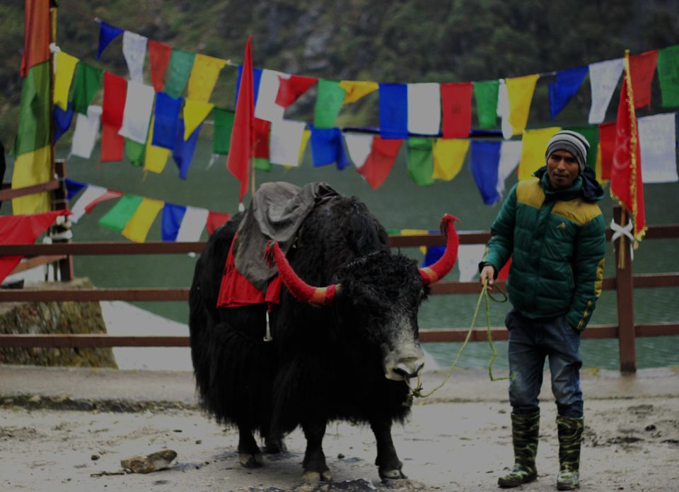 Photo of Sikkim Sojourn 16/16 by Pratiksha bhat