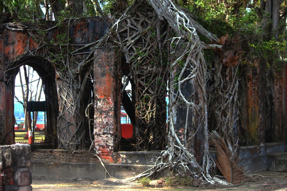Photo of Amazing Andaman – Unwind and unravel 4/11 by Pratiksha bhat