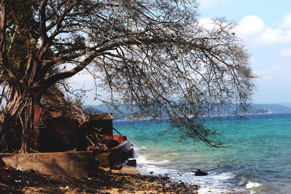 Photo of Amazing Andaman – Unwind and unravel 6/11 by Pratiksha bhat