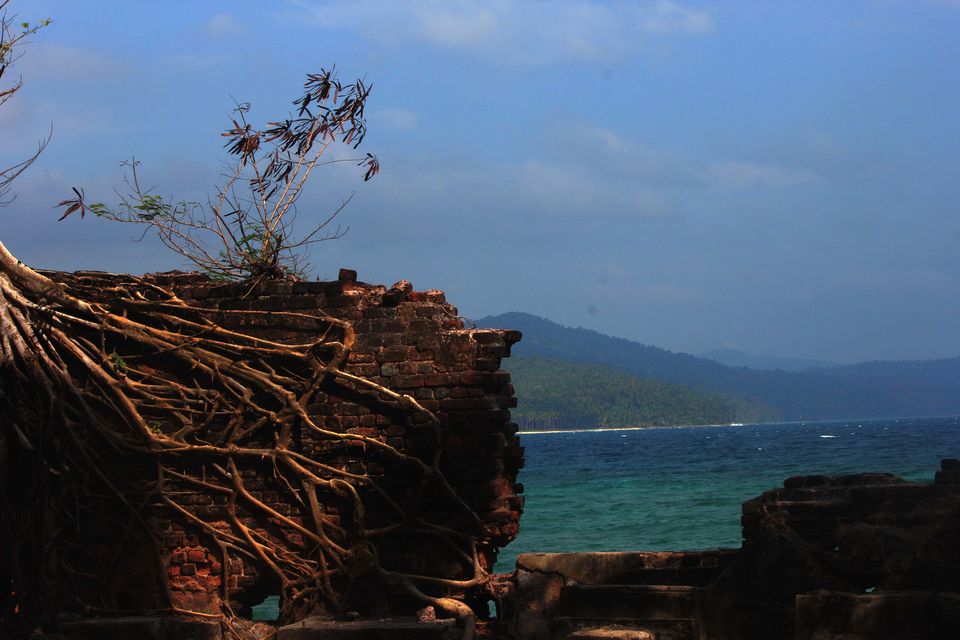 Photo of Amazing Andaman – Unwind and unravel 3/11 by Pratiksha bhat