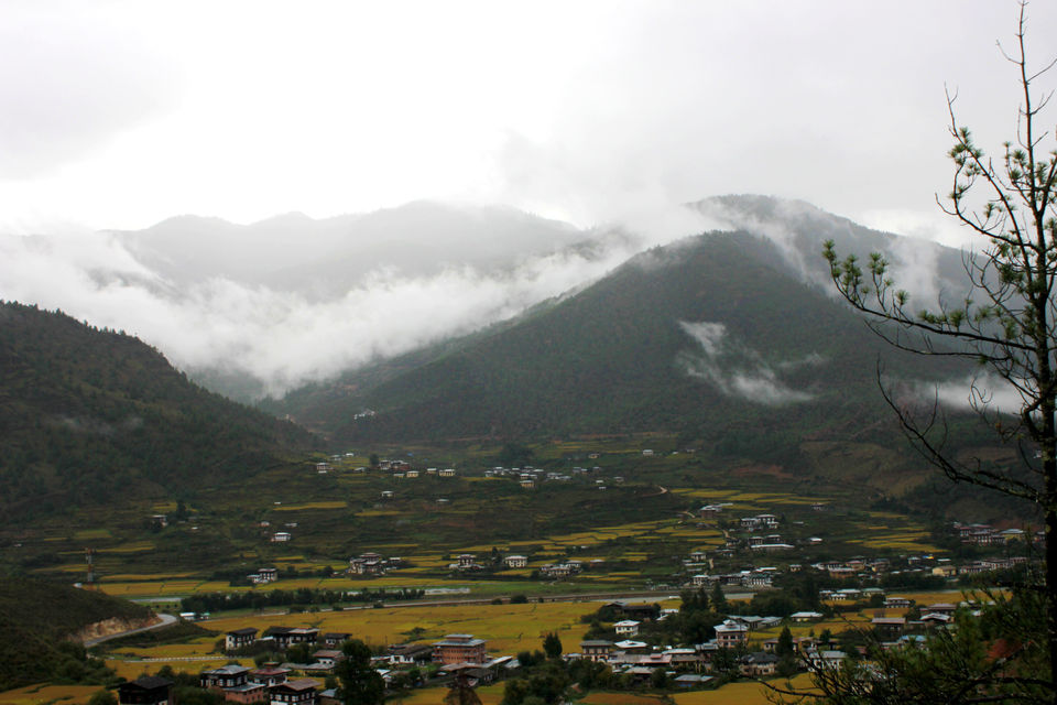 Photo of Bhutan - A land of mystics and mysteries 8/17 by Pratiksha bhat