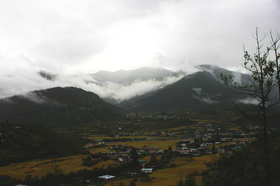 Photo of Bhutan - A land of mystics and mysteries 9/17 by Pratiksha bhat