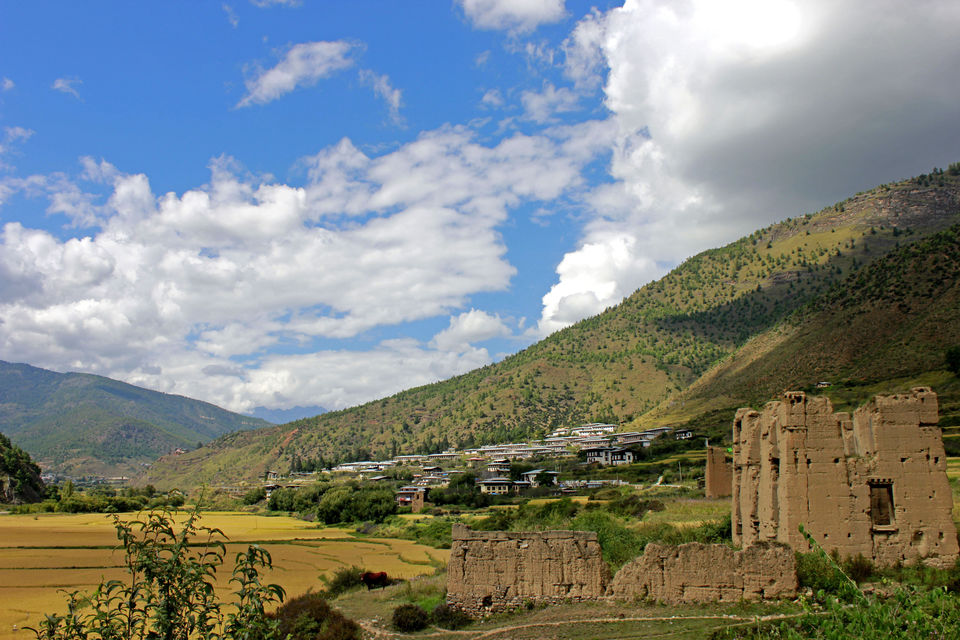 Photo of Bhutan - A land of mystics and mysteries 14/17 by Pratiksha bhat