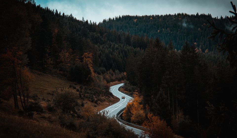 Photo of Getting Lost In The Black Forest Of Germany Is A Great Idea by Divas Bahuguna