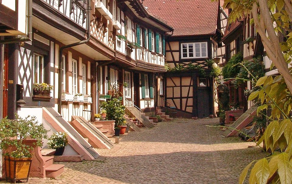 Photo of Getting Lost In The Black Forest Of Germany Is A Great Idea by Divas Bahuguna