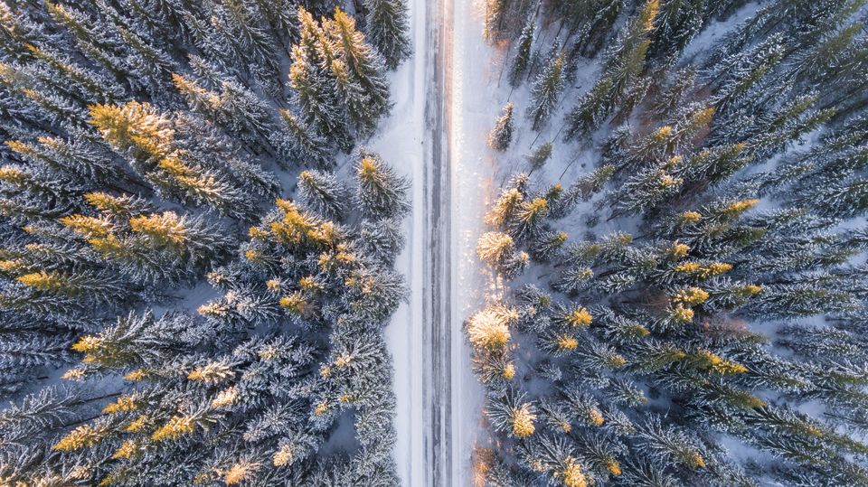 Photo of Getting Lost In The Black Forest Of Germany Is A Great Idea by Divas Bahuguna