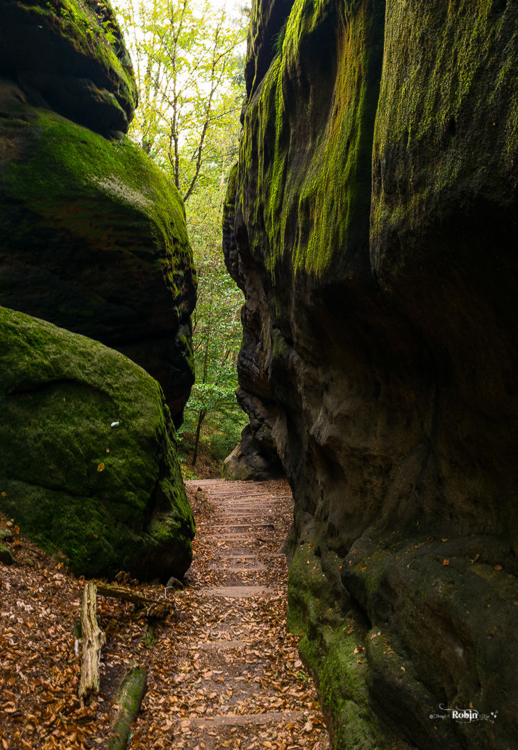 Photo of Craving A Wild European Adventure? This Cave Camping Experience Is Just For You by Divas Bahuguna