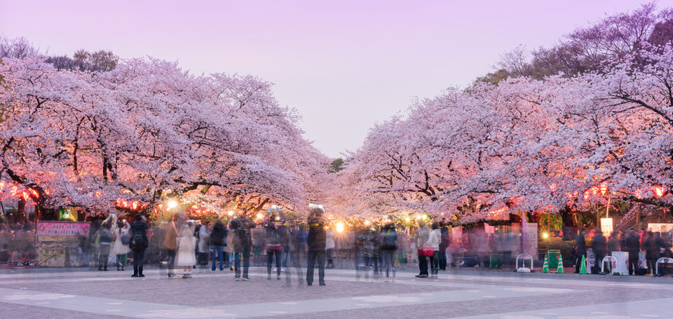 Photo of Ueno Onshi Park, 8 Uenokoen, Taitō, Tokyo, Japan by Divas Bahuguna