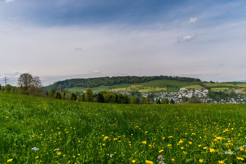 Photo of Listen to 'Babuji' and go live your life - 7 days in the heart of Swiss alpine wonderland by Divas Bahuguna