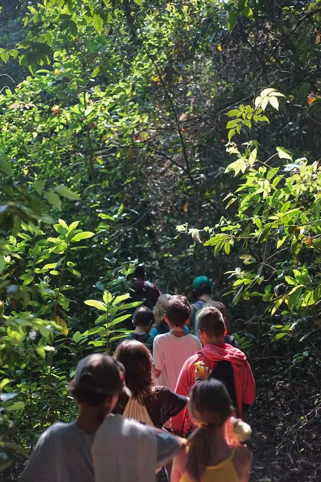 Photo of Off The Grid, Aveda Poppal Wadi, Karnataka, India by Divas Bahuguna