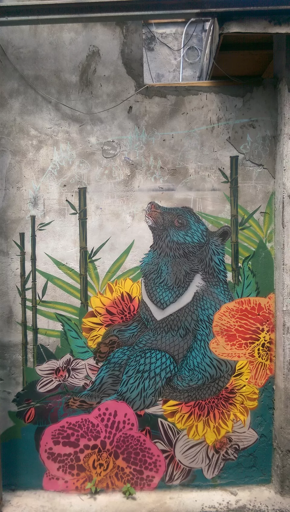 Photo of Treasure Hill, Taipei Artist Village, 汀州路三段230巷14弄 Zhongzheng District, Taipei City, Taiwan by Divas Bahuguna