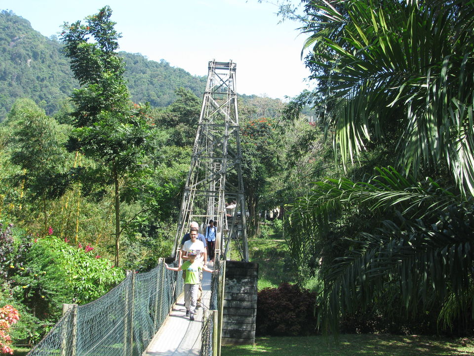Photo of My very first Solo Trip to Lanka ! by Sneha Rao