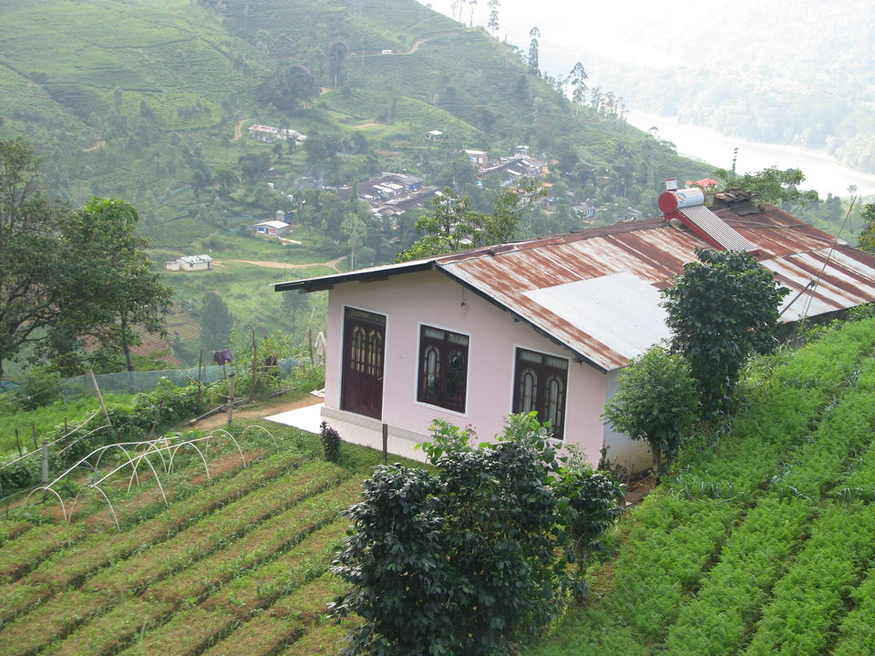 Photo of My very first Solo Trip to Lanka ! by Sneha Rao