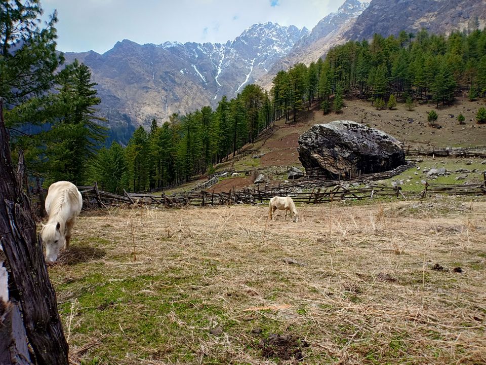 kasol to kutla trek