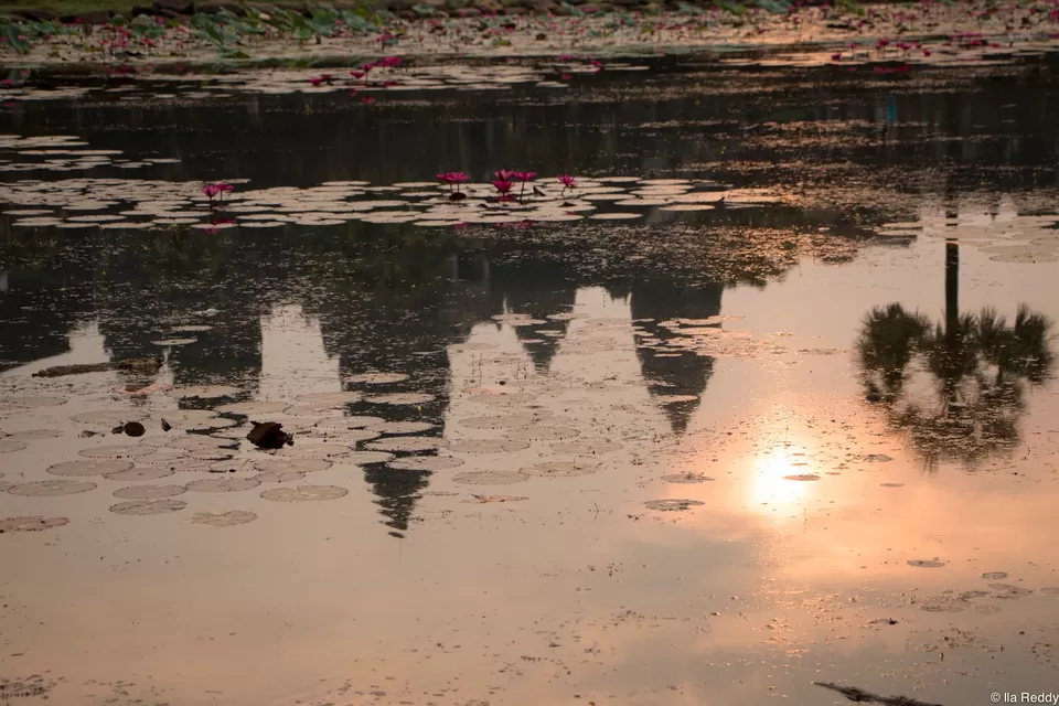 Photo of Angkor Wat, Krong Siem Reap, Cambodia by Ila Reddy