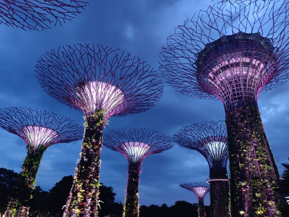 Photo of 10 Offbeat Experiences in Singapore That You Cannot Miss by Ila Reddy