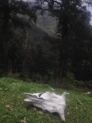 Photo of Ali Bugyal, Roopkund Trail, Chamoli, Uttarakhand, India by Susan Halfhide