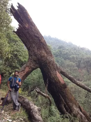 Photo of Didna, Uttarakhand, India by Susan Halfhide
