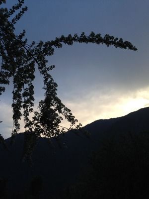 Photo of Didna, Uttarakhand, India by Susan Halfhide