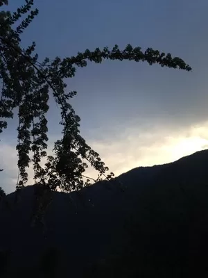Photo of Didna, Uttarakhand, India by Susan Halfhide