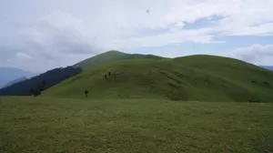 Photo of Ali Bugyal, Roopkund Trail, Chamoli, Uttarakhand, India by Susan Halfhide